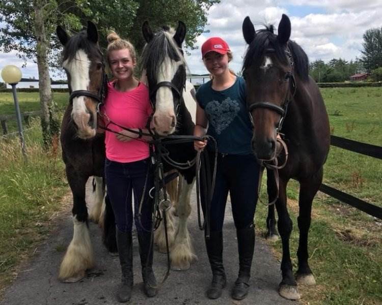 ClareEquestrian Centre 