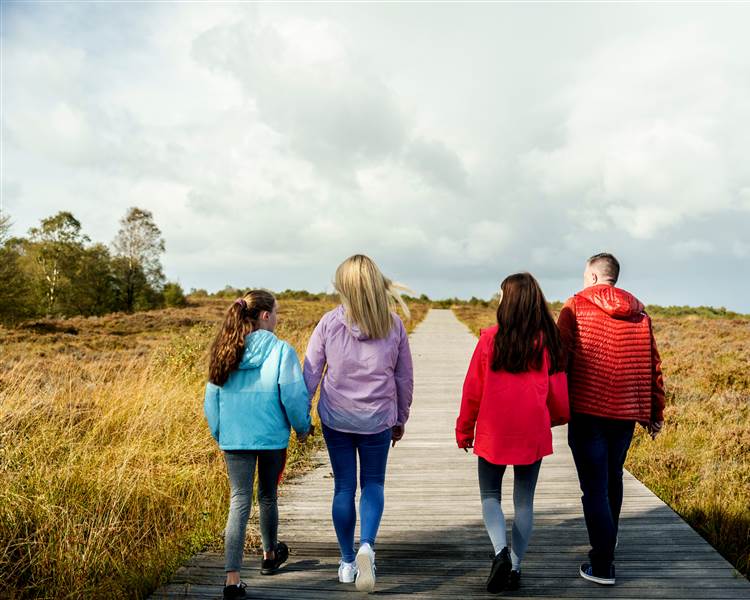 Corlea Trackway, Visitor Centre, Keenagh