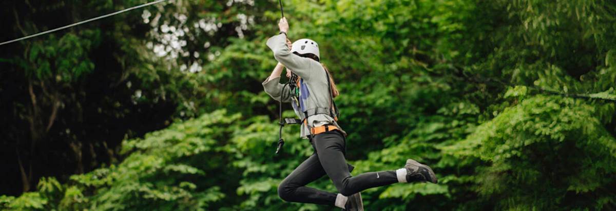 Westport Adventure Park - Ziplining at Westport Adventure Park