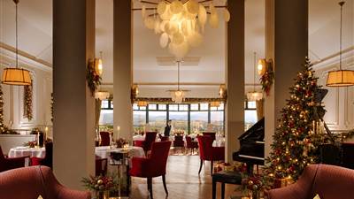 The Fern Grill at Christmas