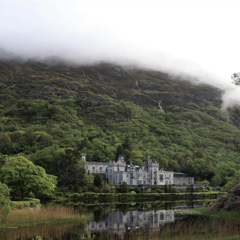 Biodiversity & Sustainability at Kylemore Abbey