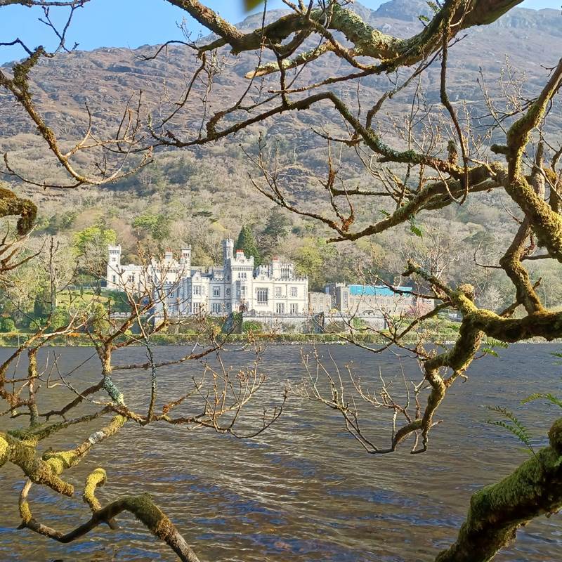 What are we protecting | Kylemore Abbey