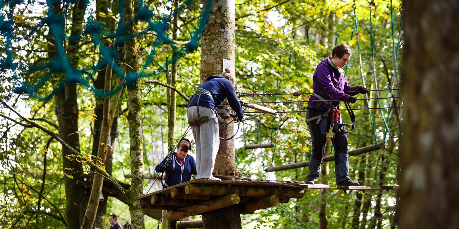 Bound activities. Парк Форест адвенчер Подгорица. Форест Адвенче Активити куб. Team Forest Ури. Samarqand Family Park.