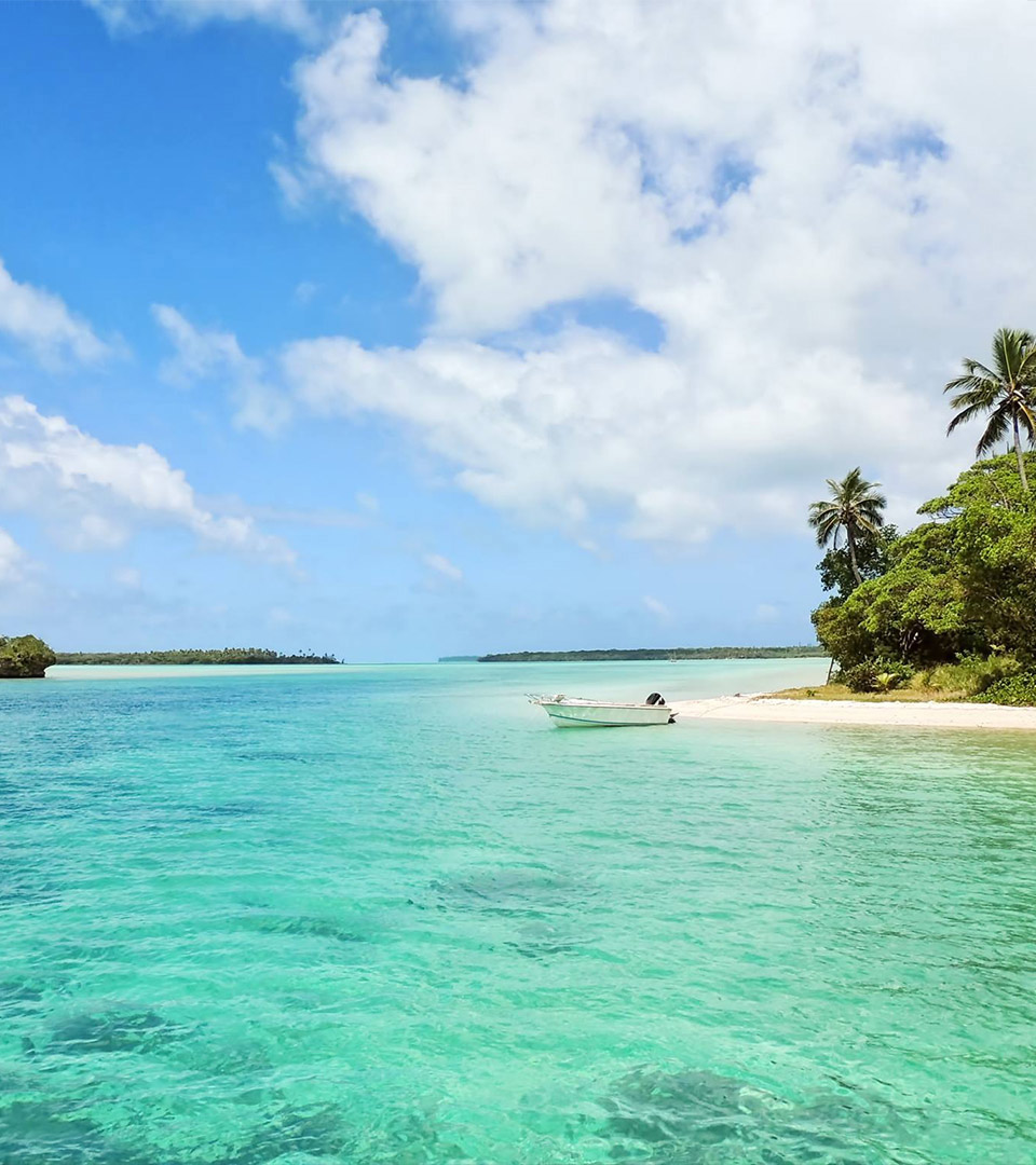 Things To Do In Apia Samoa Island