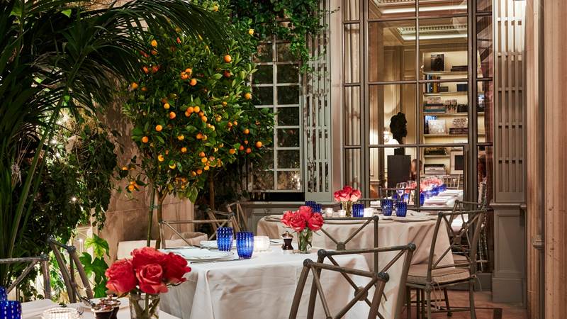 Majorelle 2020 NS (2)