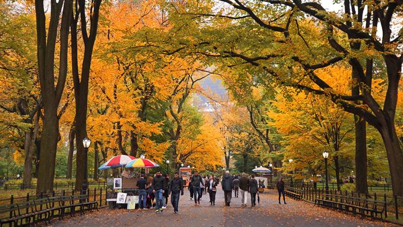 Central Park Fall Image