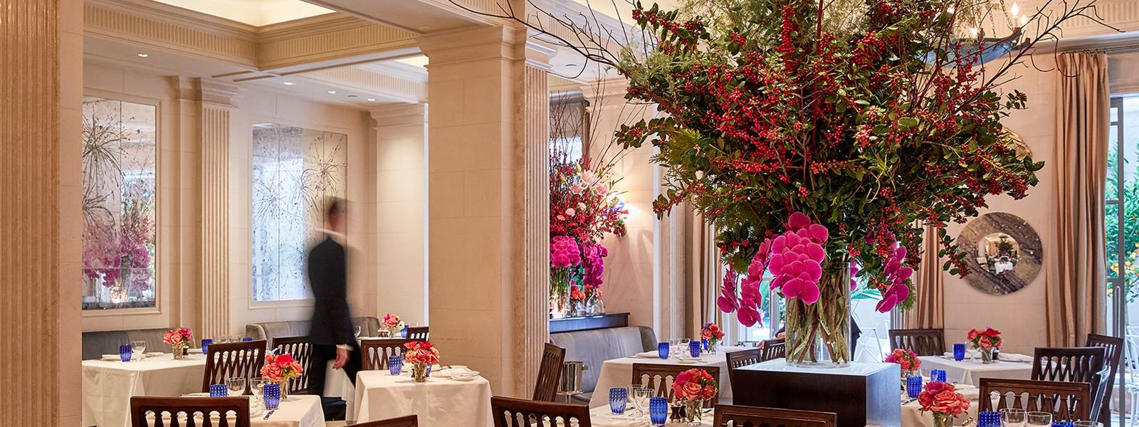 Majorelle Interior Dec 2019 (13)