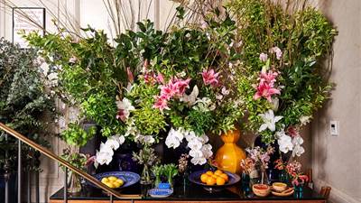 Majorelle Entrance Flowers Display