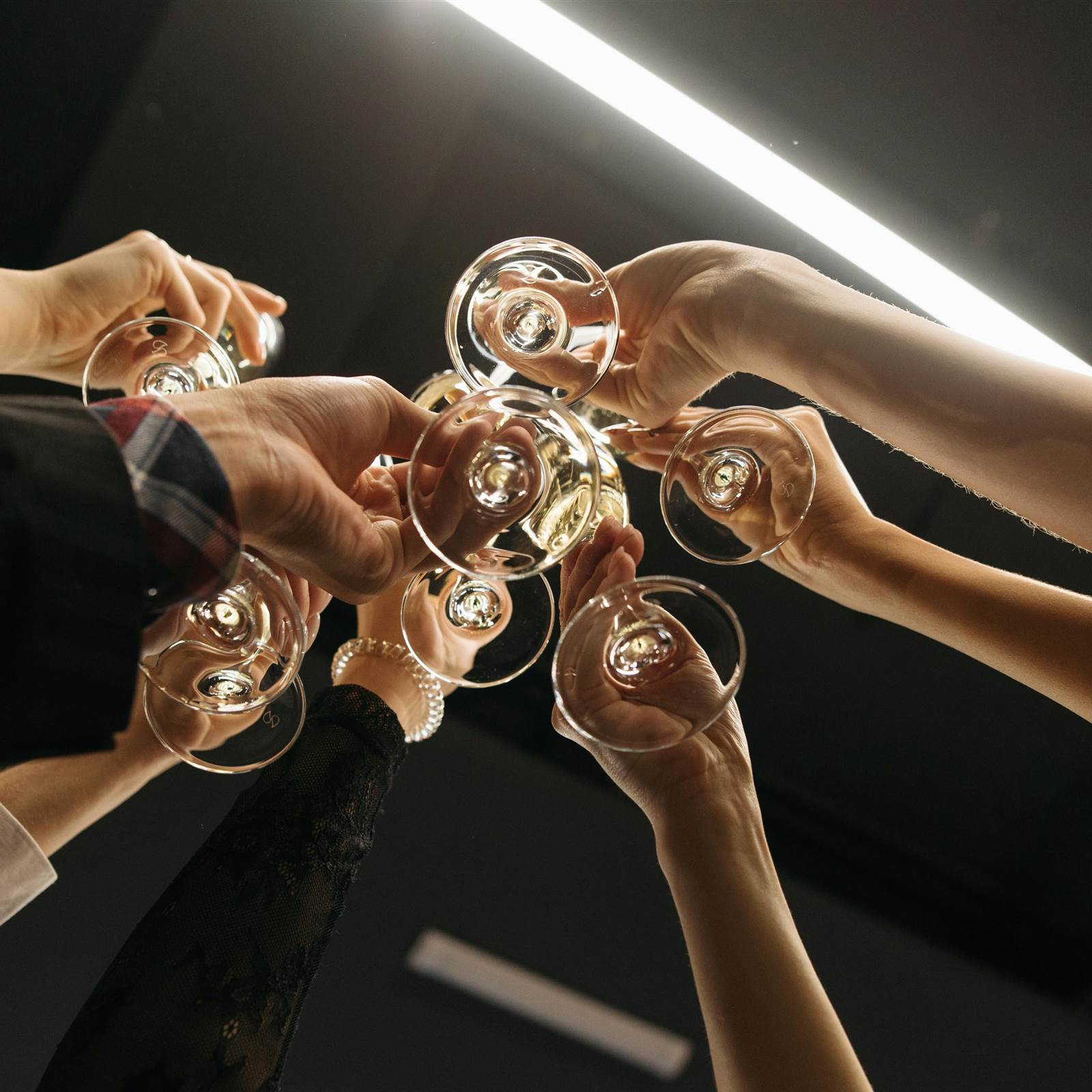 Gala Event Cheers The Malone