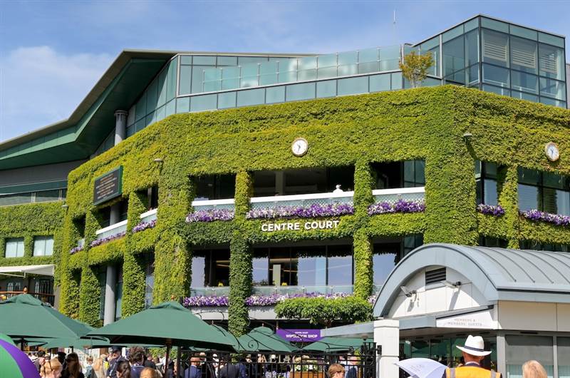 wimbledon tennis what to do while you st