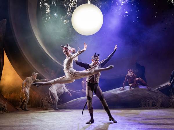 Cats Dress Rehearsal 63 Edit