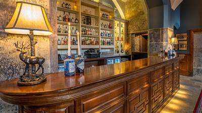 Luxury Bar in Irish Castle Hotel