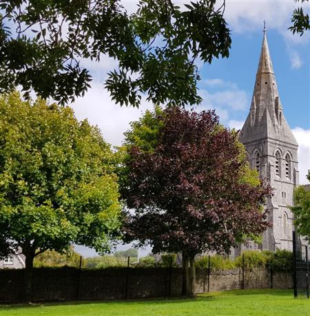 Discover the Charm of Douglas...