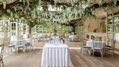 Wedding Reception