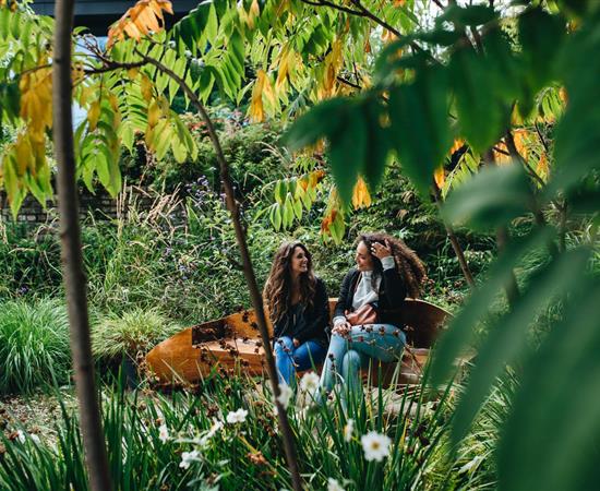 Friends in Nano Nagle Place Garden Web S