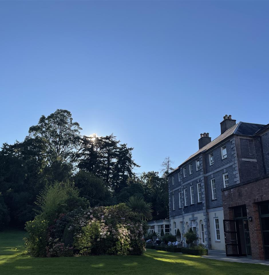 Saturday Sundown Offer (St Brigid's Day) image