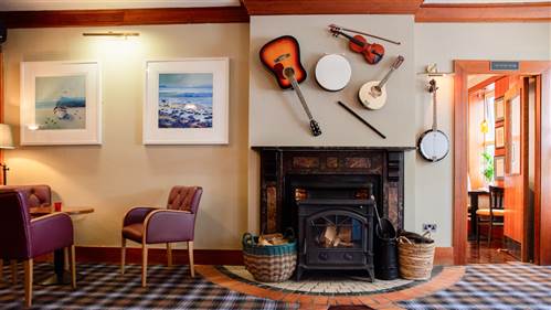 Trad Music Ireland Instruments