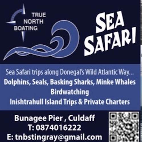 True North Boating Sea Safari