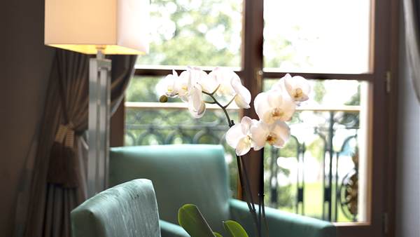 Experience top level of luxury with Our Suites Geneva 