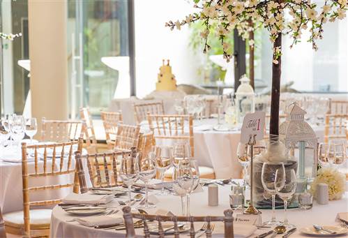 Wedding Reception 