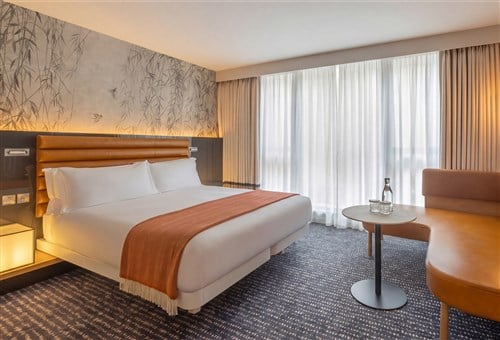 Deluxe Room 1