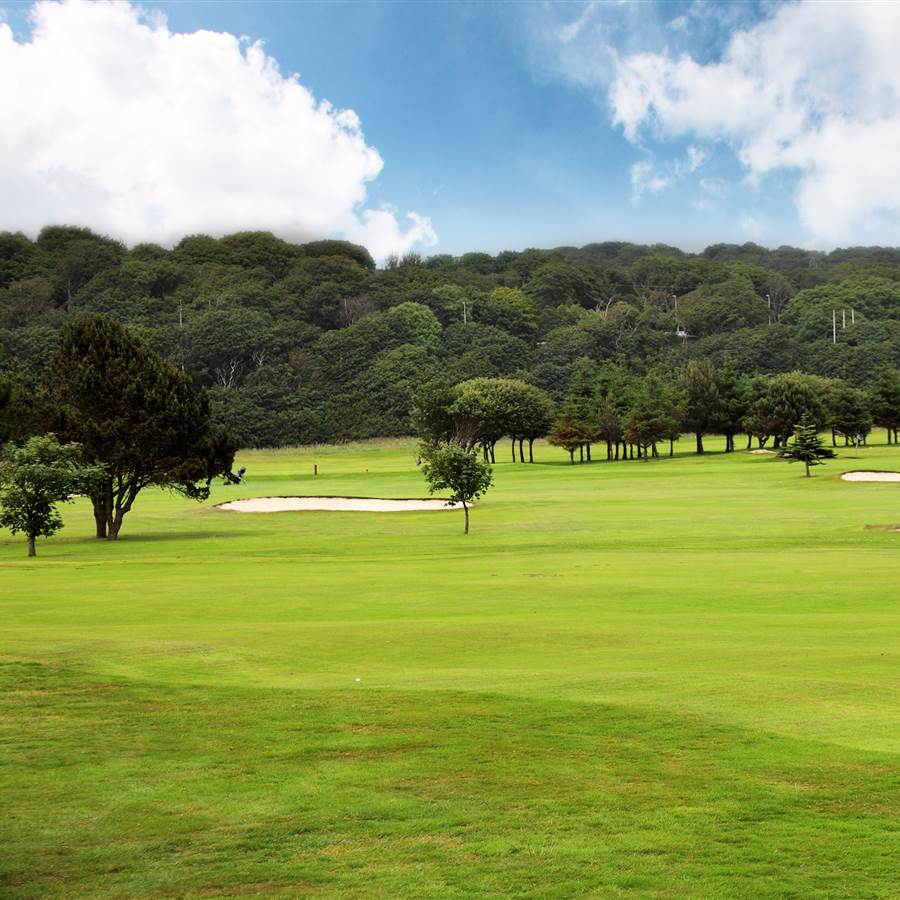 Kilkenny Gulf Clubs Best Golf Courses in Ireland