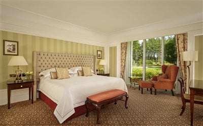 Garden View King Suite