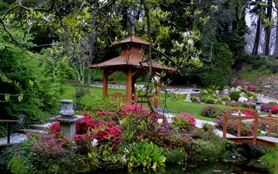 Japanese Gardens at Powerscourt Gardens