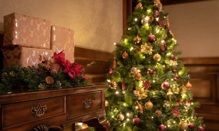 Christmas Tree Corridor