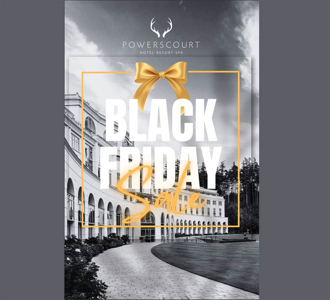 Black Friday Sale 3