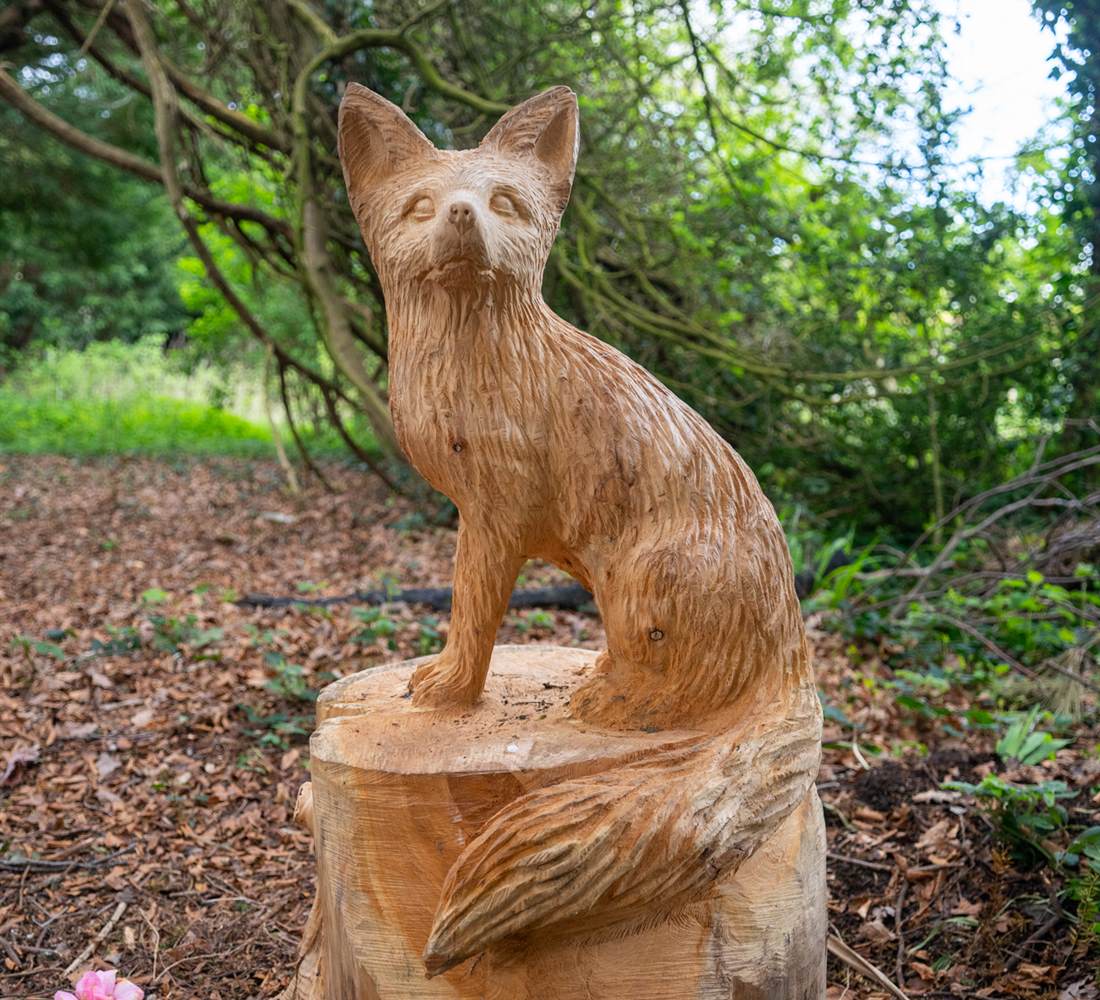 Fox Carving Avoca Forest Trail