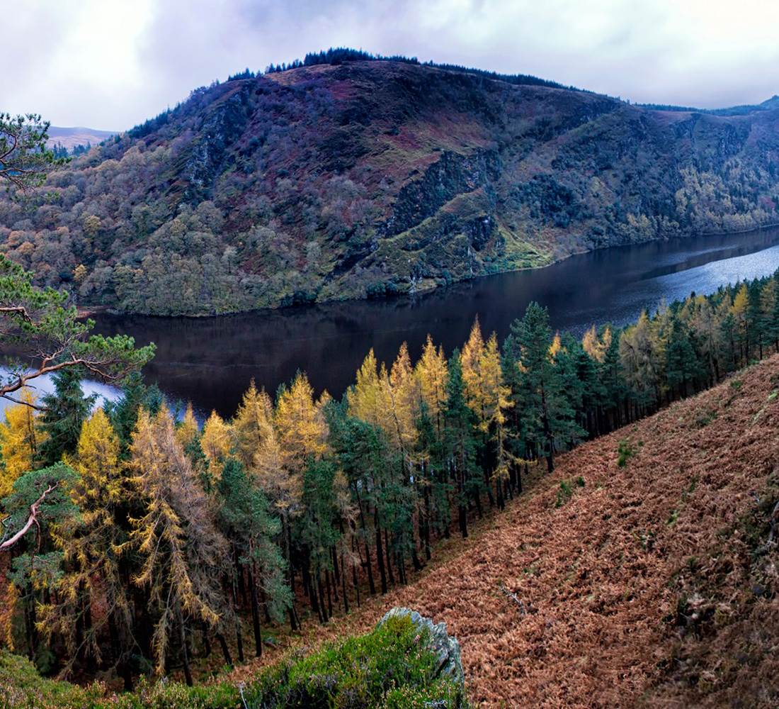 Wicklow Mountains   web sq