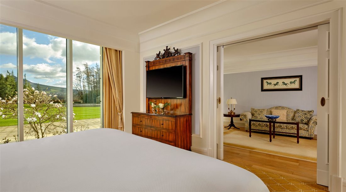 Mountain View King Suite  LARGE