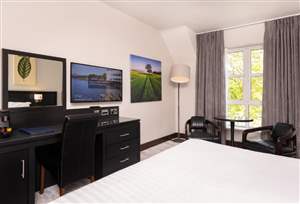 Standard Double Room Alternate