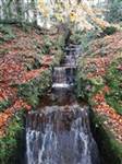 swan park 7 768x1024