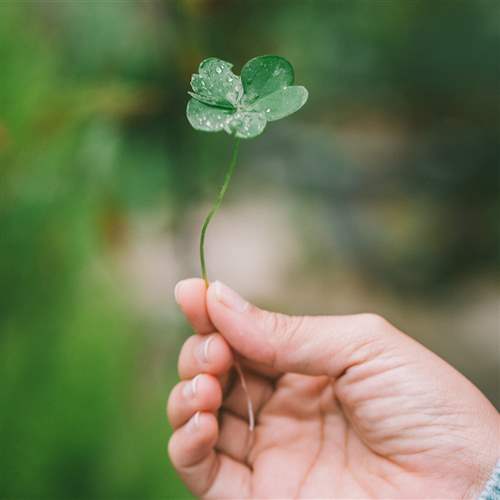 patricksday