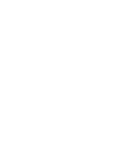 Travelers' Choice