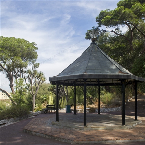 Alameda Botanic Gardens 2