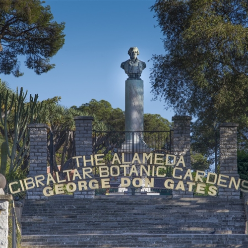 Alameda Botanic Gardens 3