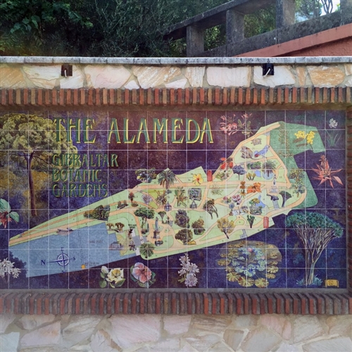 Alameda Botanic Gardens 4
