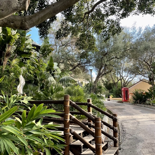 Alameda Botanic Gardens 5