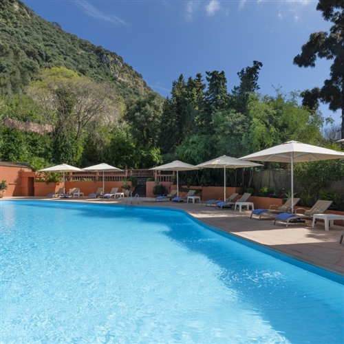 Swimming Pool Daylight