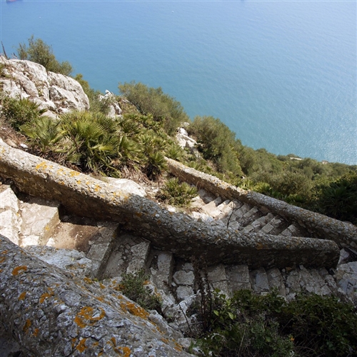 The Mediterranean Steps 1