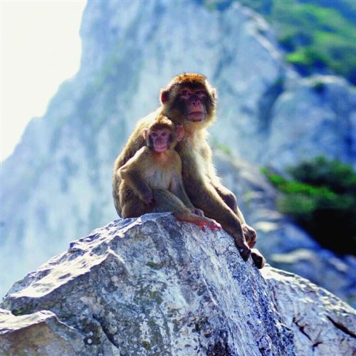 The Original Rock Tour 4