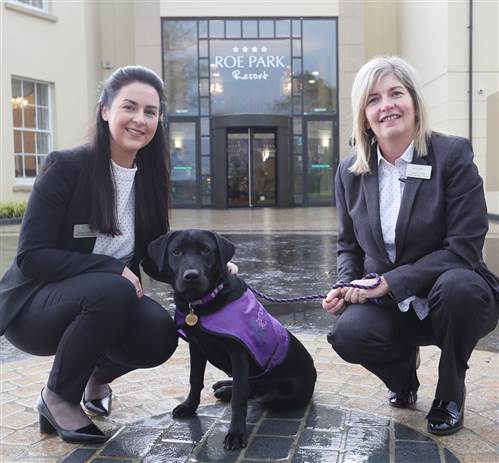 Paws-itive Partnership with Assistance Dogs NI!