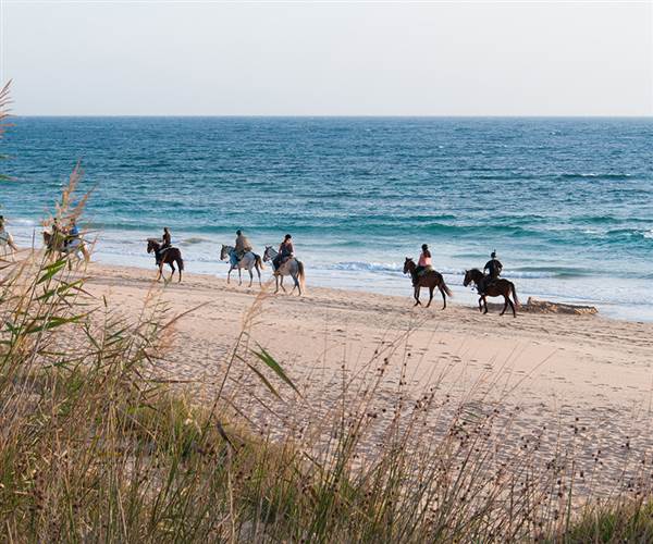 Horseback Riding Tours in County Galway