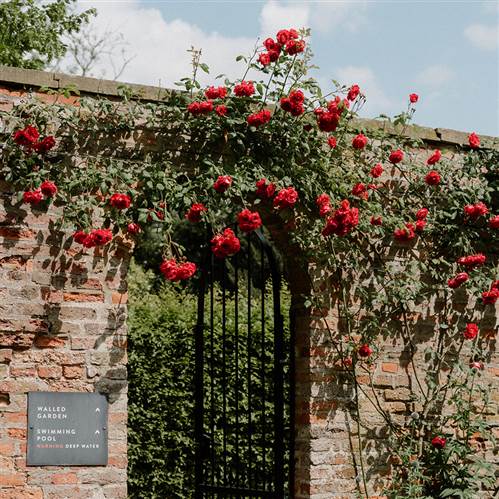 Gardens, saltmarshe