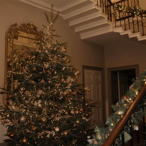 xmas tree