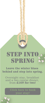 Step into Spring 01