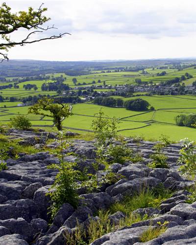 Austwick 1